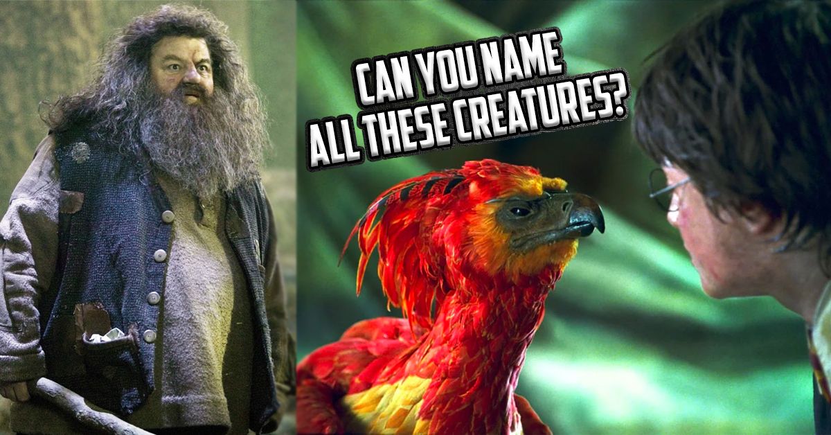 only-a-muggle-would-fail-this-magical-creatures-quiz-thequiz